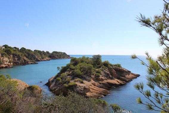 Casita De Pescadores Con Vista Al Puerto Apartment L'Ametlla de Mar Ngoại thất bức ảnh